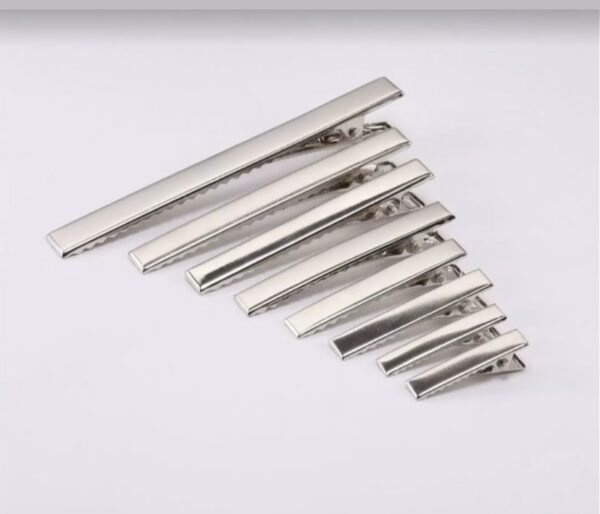 Hair Clips (Regular shape)-12 pieces