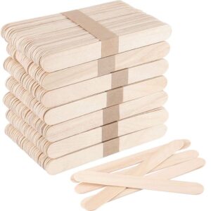 Craft Stick